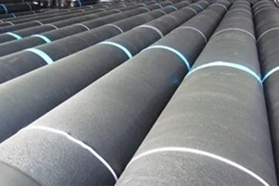 Film Géomembrane
