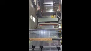 Machine de moulage par coextrusion et soufflage pour film 2 couches