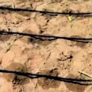Irrigation Homogène et Stable